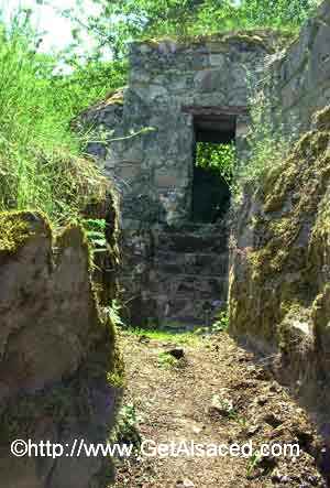 First World War Trenches Pictures. World War One trenches at