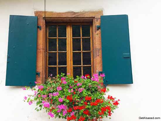 flowers in a window box in the village of Ville in Alsace France