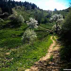 spring in alsace france