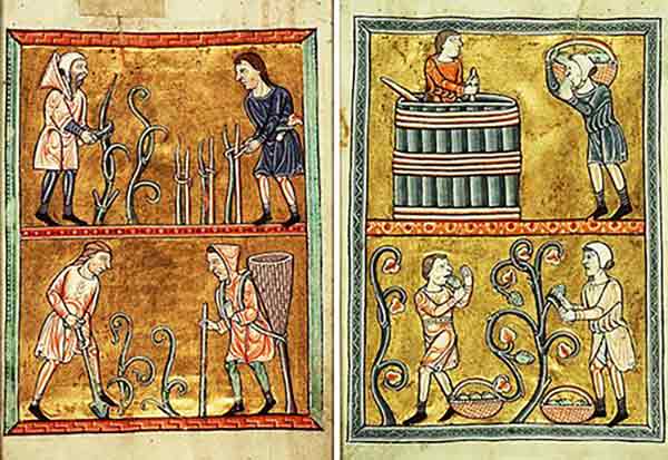 medieval images of wine making