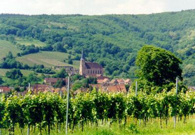 Andlau from Grand Cru Wiebelsberg