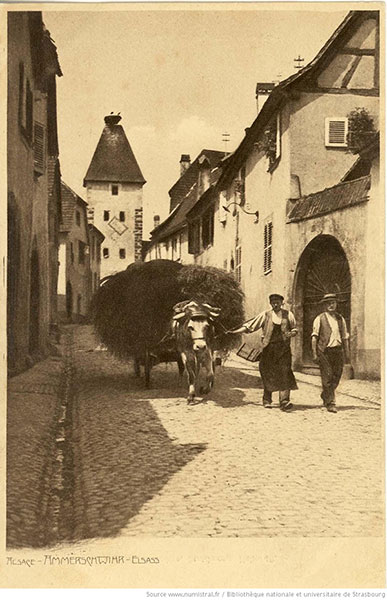 old photo man and woman hauling hay in alsace france