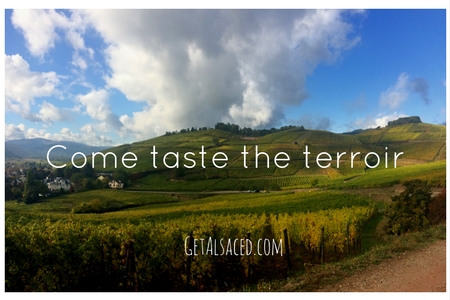 Come taste the terroir with GetAlsaced