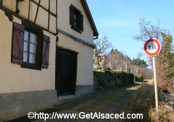 A Walking Path in the Vineyards in Alsace