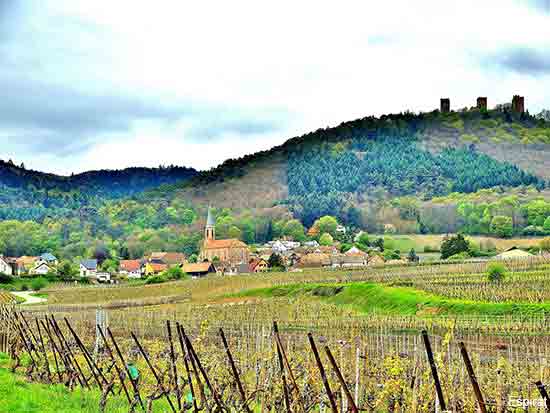 Husseren les Chateaux a small village on the Alsace wine road in France