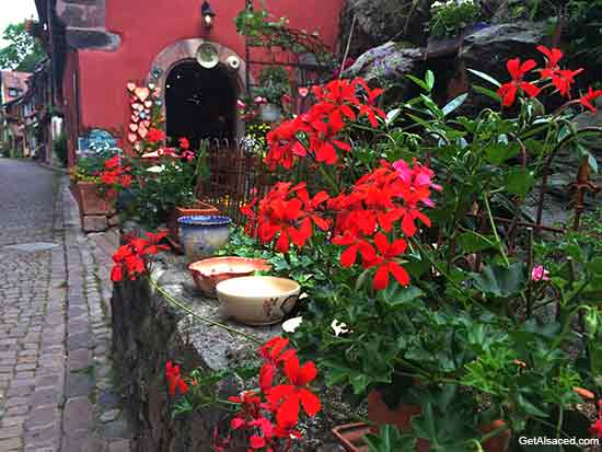 flower boxes in the Kaysersberg village in Alsace France