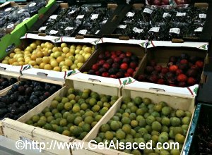 Plum Varieties in Alsace France