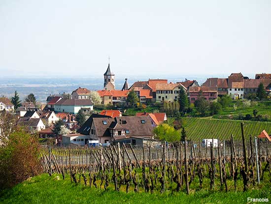 Zellenberg a small Alsace village in France